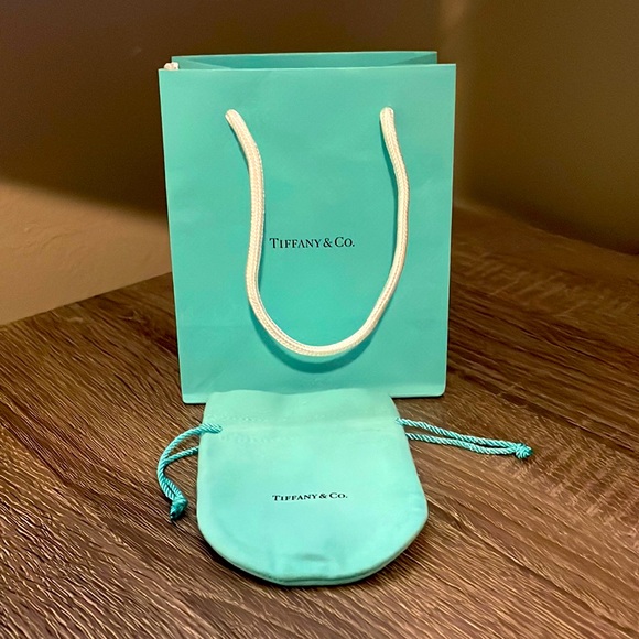 Tiffany & Co. Bag - Picture 1 of 1